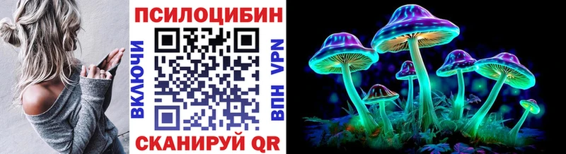 Псилоцибиновые грибы Psilocybe Дорогобуж