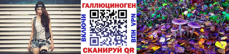 Псилоцибиновые грибы Psilocybine cubensis  MEGA зеркало  Дорогобуж  купить  
